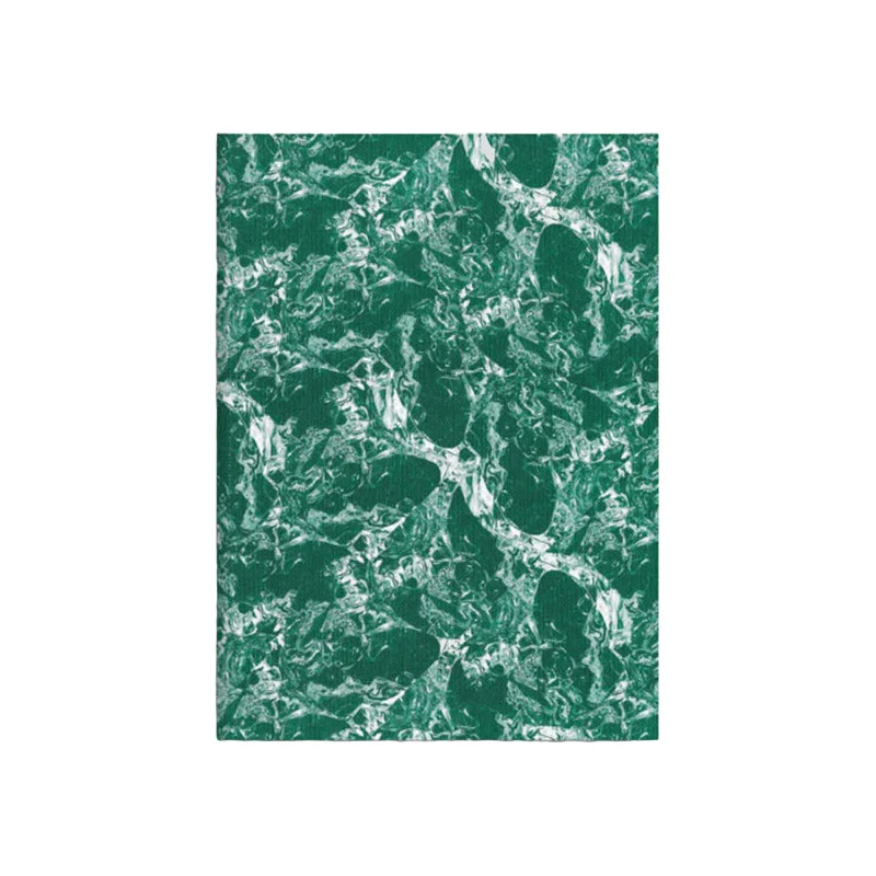 Glacier Notebook N° 4